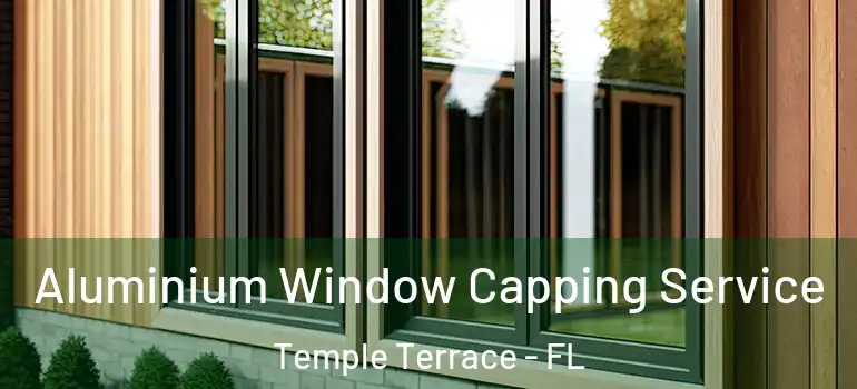 Aluminium Window Capping Service Temple Terrace - FL