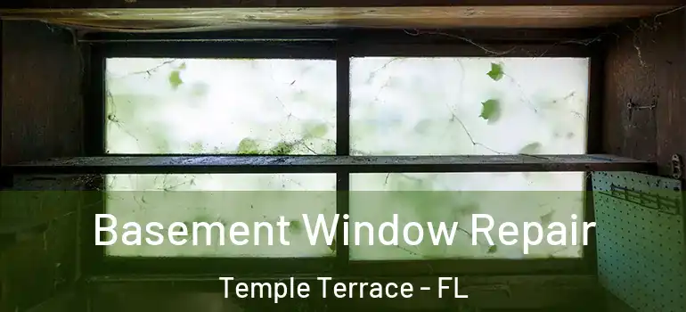  Basement Window Repair Temple Terrace - FL