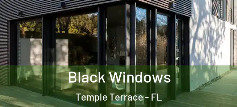  Black Windows Temple Terrace - FL
