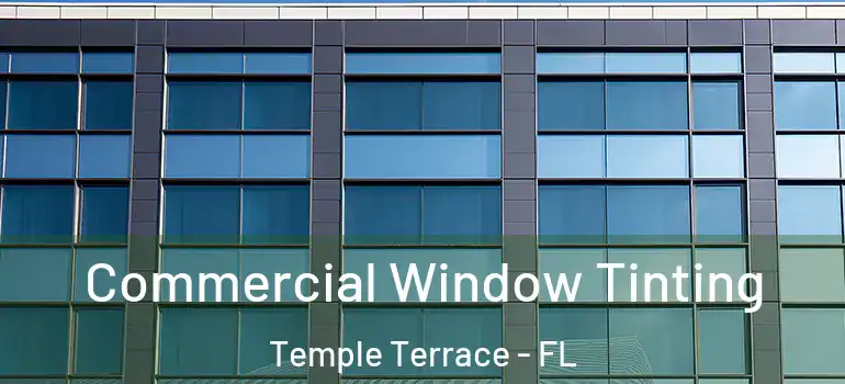  Commercial Window Tinting Temple Terrace - FL