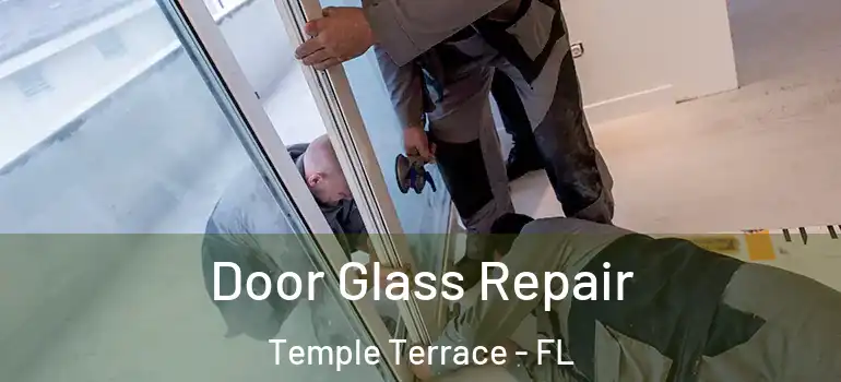 Door Glass Repair Temple Terrace - FL