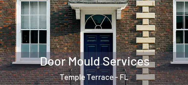  Door Mould Services Temple Terrace - FL
