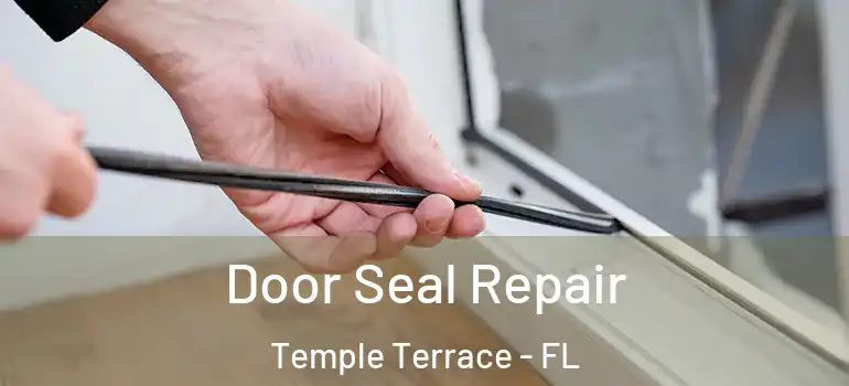  Door Seal Repair Temple Terrace - FL