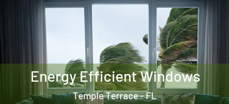  Energy Efficient Windows Temple Terrace - FL