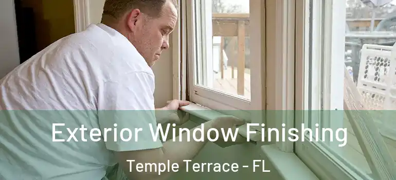  Exterior Window Finishing Temple Terrace - FL