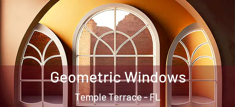  Geometric Windows Temple Terrace - FL