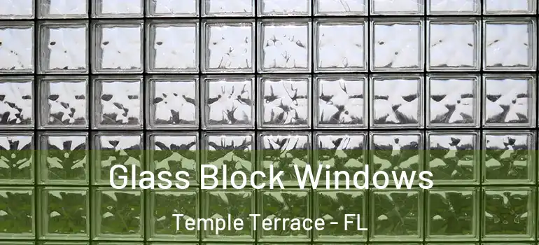  Glass Block Windows Temple Terrace - FL