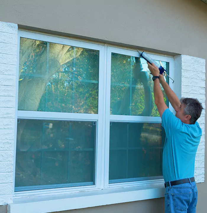 Modern Windows in Temple Terrace, FL