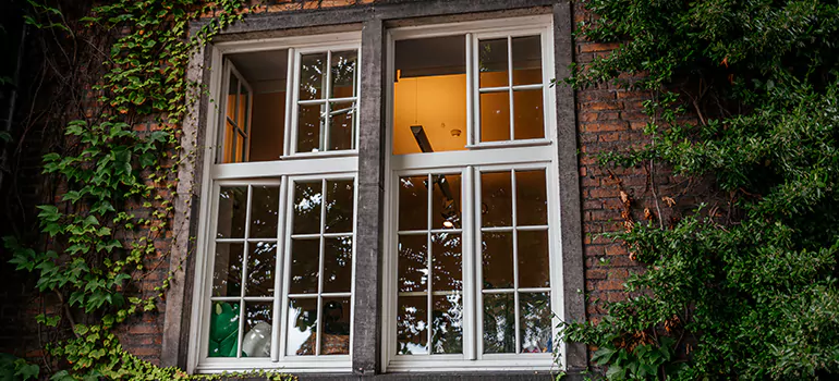 Energy Efficient Wood Windows in Temple Terrace, FL