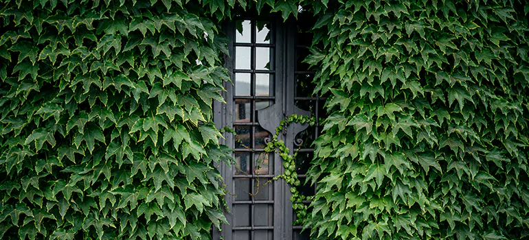 Garden Gate Repair in Temple Terrace, FL
