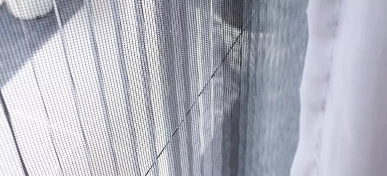 Fixing Screen Window Mesh in Temple Terrace, FL