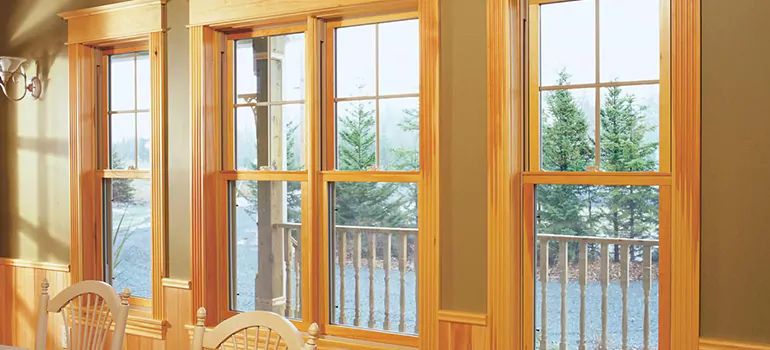 Government Incentives For Replacement Windows in Temple Terrace, FL
