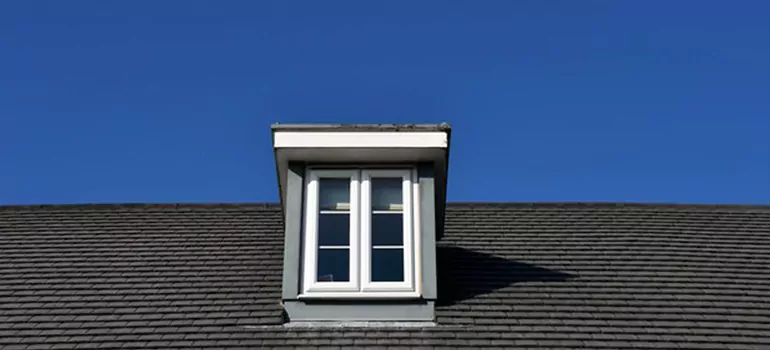 Roof Window Installation in Temple Terrace, FL