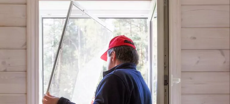 Expandable Window Screen Installation in Temple Terrace, FL