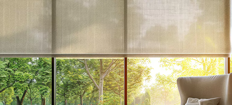 Custom Window Shades in Temple Terrace, FL