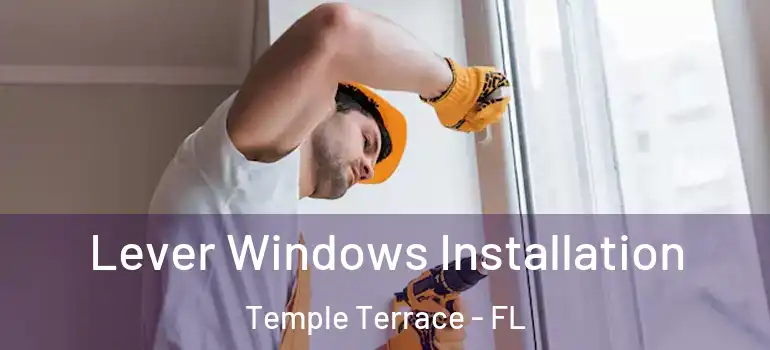  Lever Windows Installation Temple Terrace - FL
