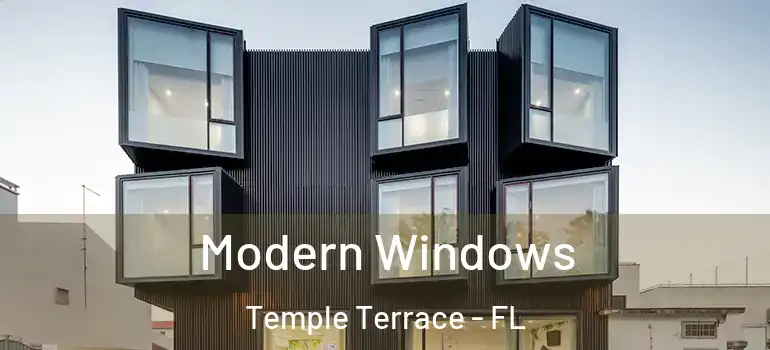  Modern Windows Temple Terrace - FL