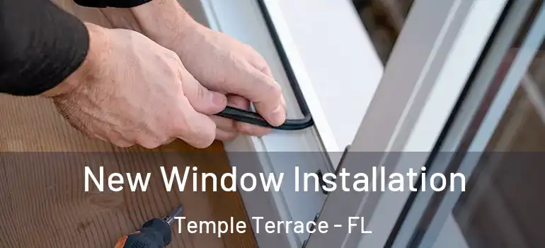  New Window Installation Temple Terrace - FL