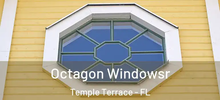 Octagon Windowsr Temple Terrace - FL
