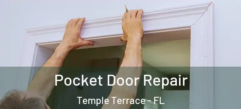  Pocket Door Repair Temple Terrace - FL