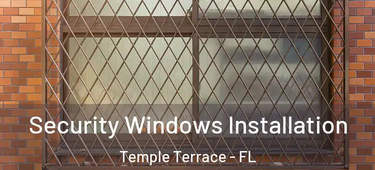  Security Windows Installation Temple Terrace - FL