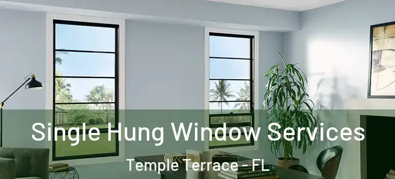  Single Hung Window Services Temple Terrace - FL