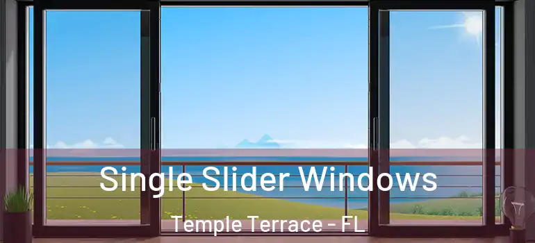  Single Slider Windows Temple Terrace - FL