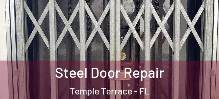  Steel Door Repair Temple Terrace - FL
