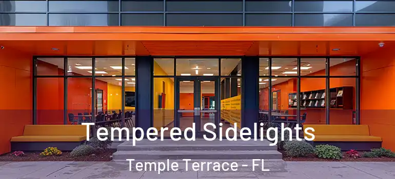  Tempered Sidelights Temple Terrace - FL