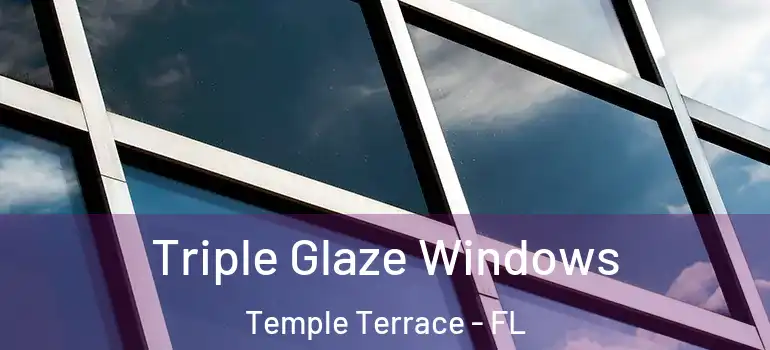  Triple Glaze Windows Temple Terrace - FL