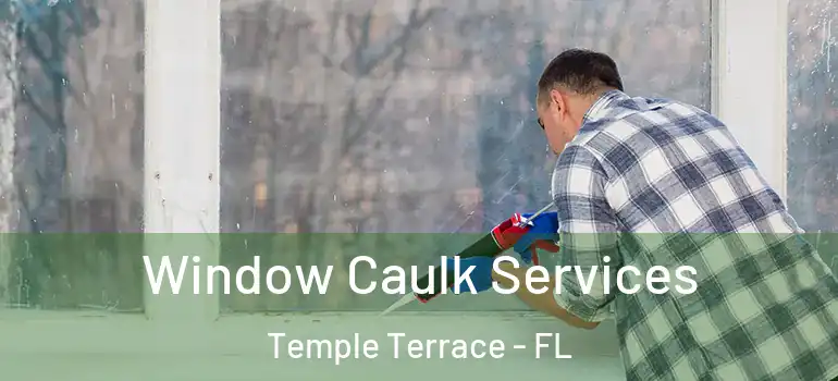  Window Caulk Services Temple Terrace - FL