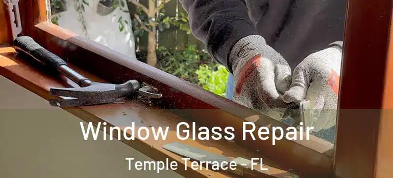  Window Glass Repair Temple Terrace - FL