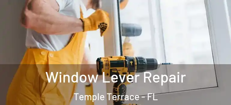  Window Lever Repair Temple Terrace - FL