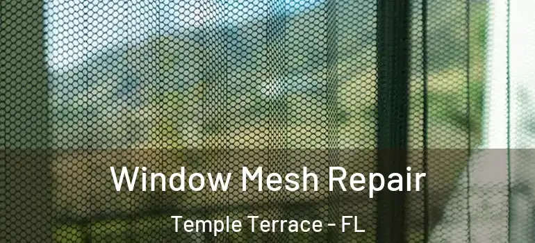  Window Mesh Repair Temple Terrace - FL