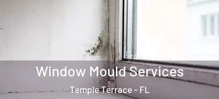  Window Mould Services Temple Terrace - FL