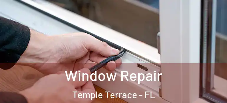  Window Repair Temple Terrace - FL