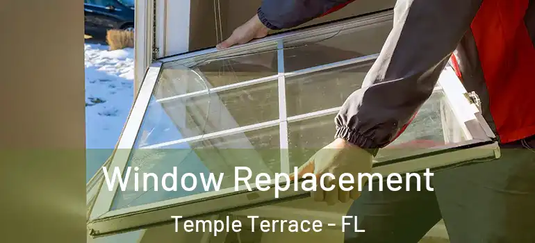  Window Replacement Temple Terrace - FL