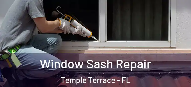  Window Sash Repair Temple Terrace - FL