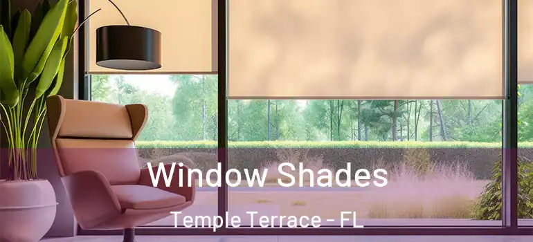  Window Shades Temple Terrace - FL