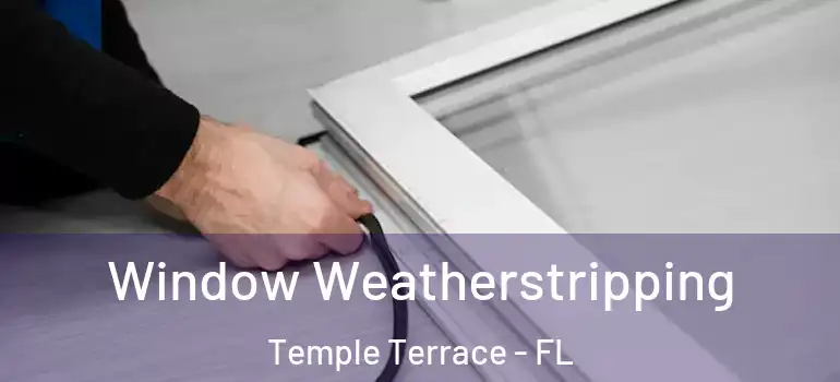  Window Weatherstripping Temple Terrace - FL